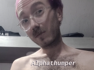 alphathumper Live Camgirls Sex