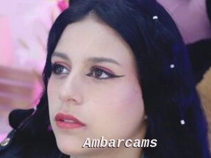 Ambarcams