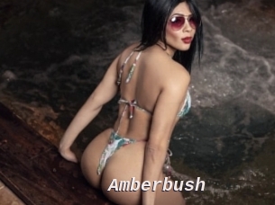 amberbush Live Camgirls Sex