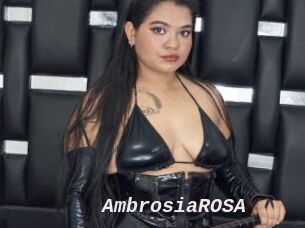 AmbrosiaROSA