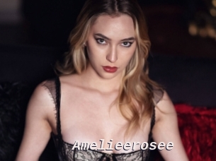 Amelieerosee