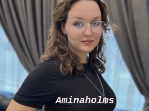 Aminaholms