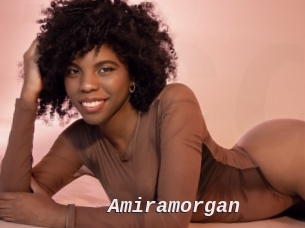 Amiramorgan