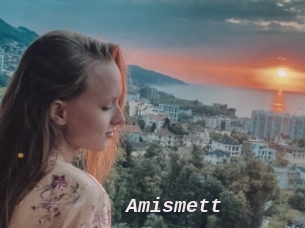 Amismett