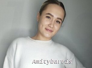 Amitybarris