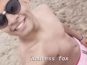 Andress_fox