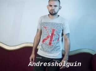 Andressholguin