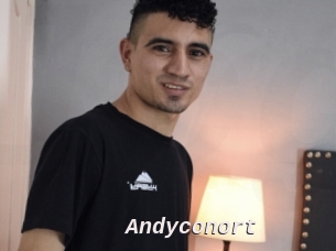 Andyconort