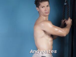 Andygates