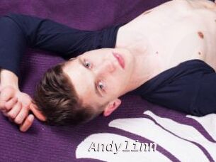 Andylinn