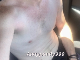 Andypandy999