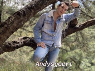 Andysgeert