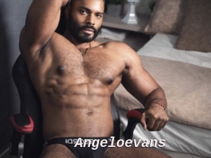 Angeloevans