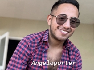 Angeloporter