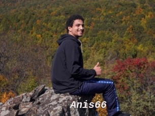 Anis66