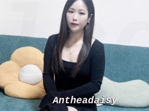 Antheadaisy