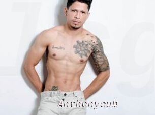 Anthonycub