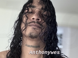 Anthonywes