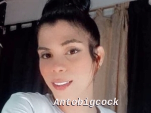 Antobigcock
