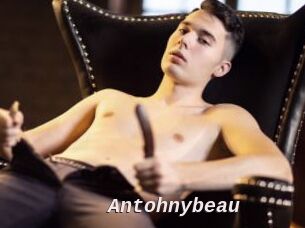 Antohnybeau