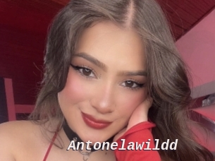 Antonelawildd