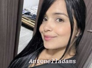 Antonelladams