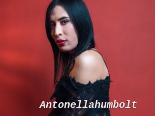Antonellahumbolt