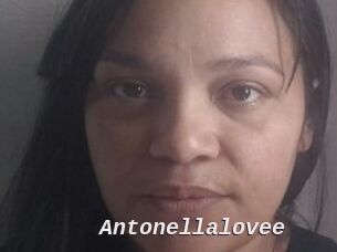 Antonellalovee