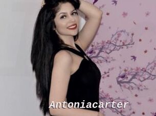 antoniacarter Live Camgirls Sex