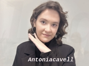 Antoniacavell