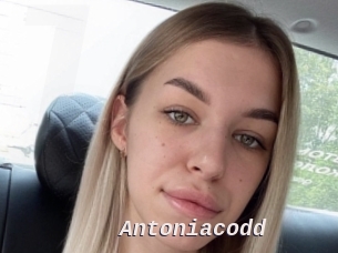 Antoniacodd