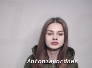 Antoniacordner