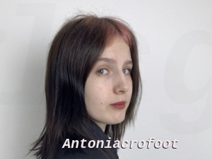 Antoniacrofoot