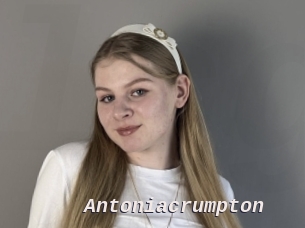 antoniacrumpton Live Camgirls Sex