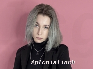Antoniafinch