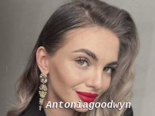 Antoniagoodwyn