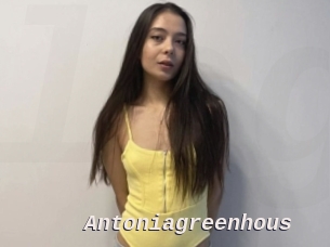 Antoniagreenhous
