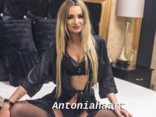 Antoniahaart