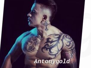 Antonygold