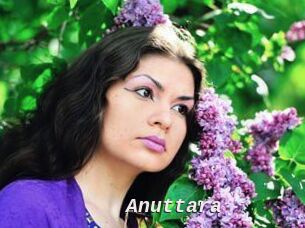 Anuttara
