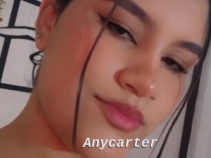 Anycarter