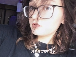 Aracorby