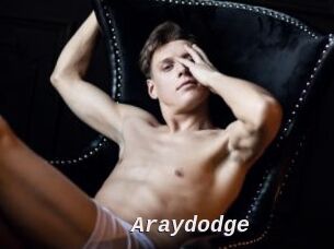 Araydodge