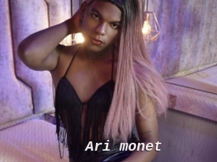 Ari_monet