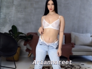Ariannareet
