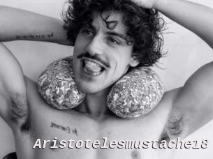 Aristotelesmustache18