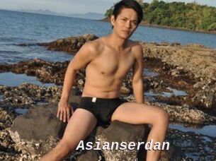 Asianserdan