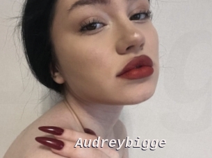 Audreybigge