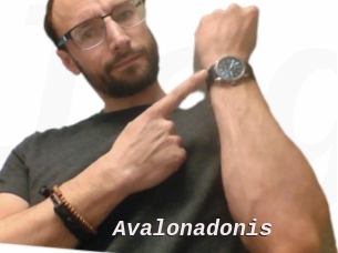 Avalonadonis