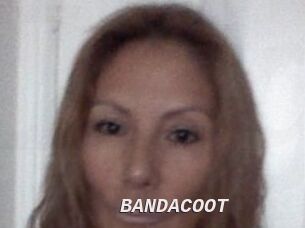 BANDACOOT